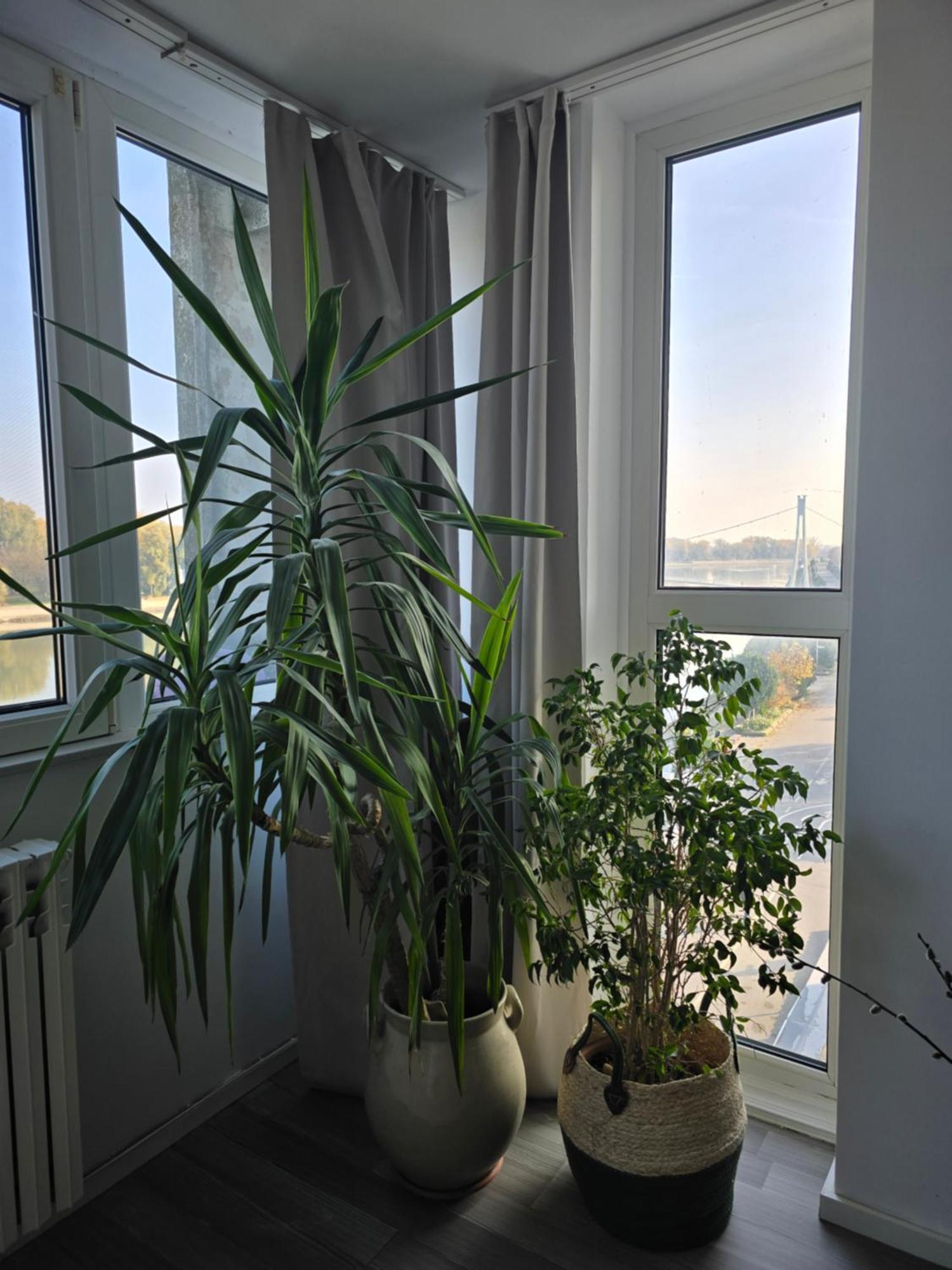 Riverview Apartment 奥西耶克 外观 照片